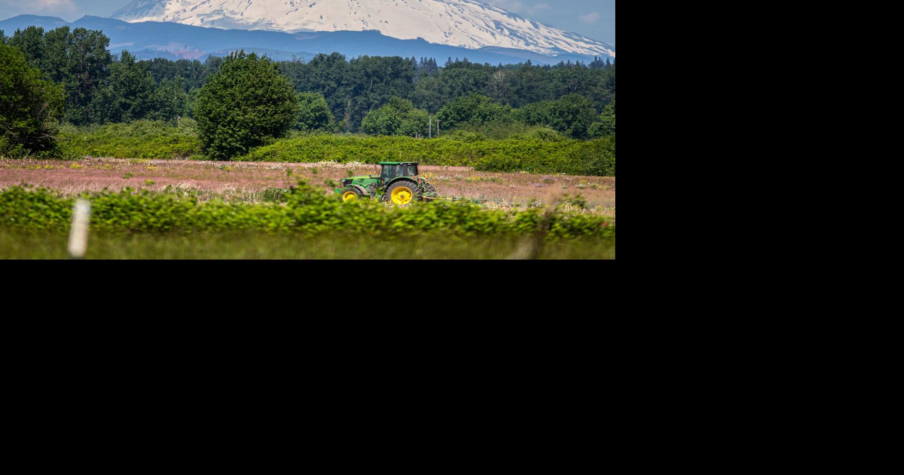 A minor earthquake was recorded near Mount St. Helens