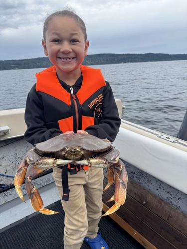 Winter crabbing season opens Oct. 1 in several Puget Sound marine areas