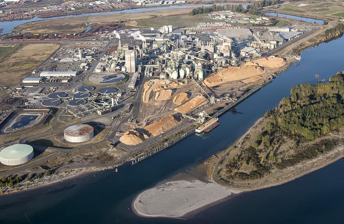 Westrock pulp and paper mill