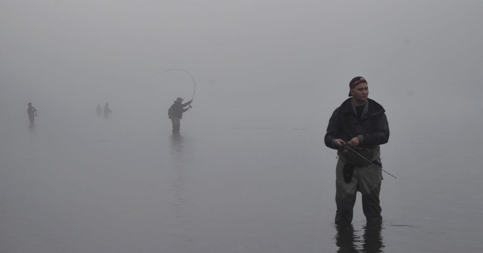 The Guide's Forecast: Steelhead stacking up at Blue Creek before rains blew the Cowlitz out - Vimarsana News