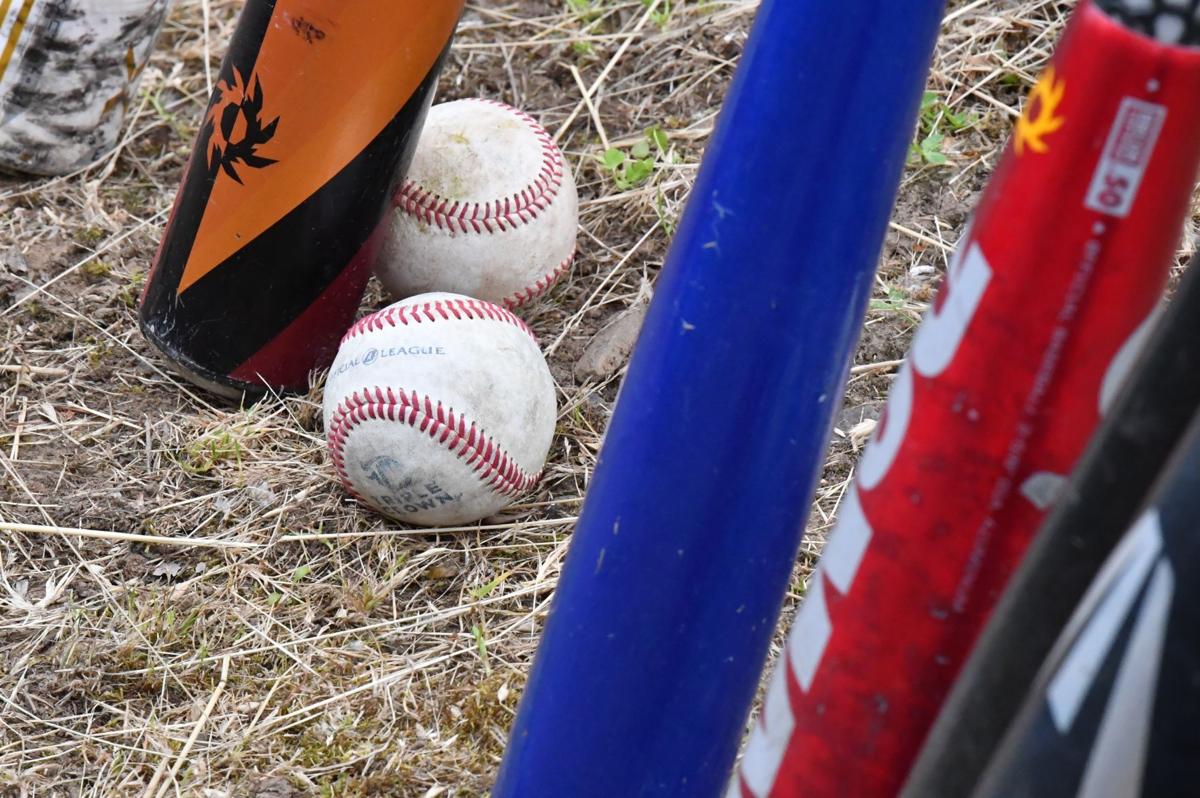 Baseball stock