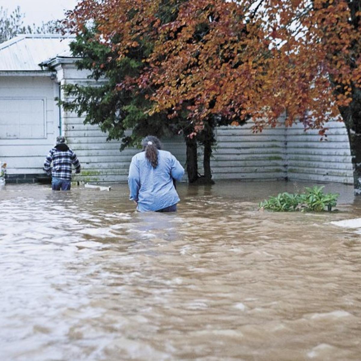 Plugged Culverts Worsen Wahkiakum County Flooding Local Tdn Com Plugged Culverts Worsen Wahkiakum County Flooding Local Tdn Com