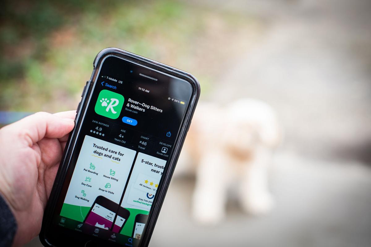 Pet app Rover faces flak after dogs went missing or died Pets
