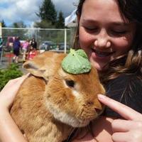 Friends share memories of Steve the Rabbit during memorial service
