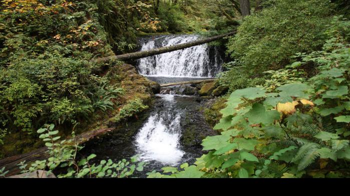 Multnomah Falls a spectacular view, but how to dodge