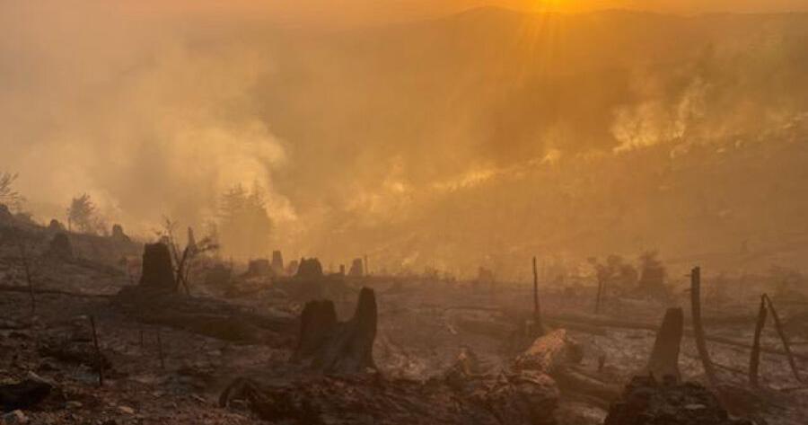 Southwest Washington faces its first wildfire season without Larch crews on hand to battle blazes - Vimarsana News