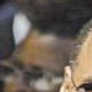 Famous Clients Gather For Johnnie Cochran S Funeral News Tdn Com