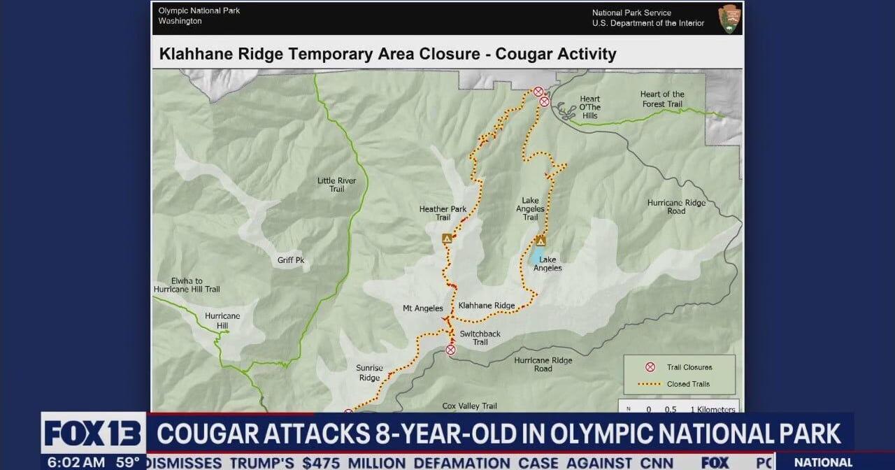Some Olympic National Park trails reopen after cougar attack - Vimarsana News