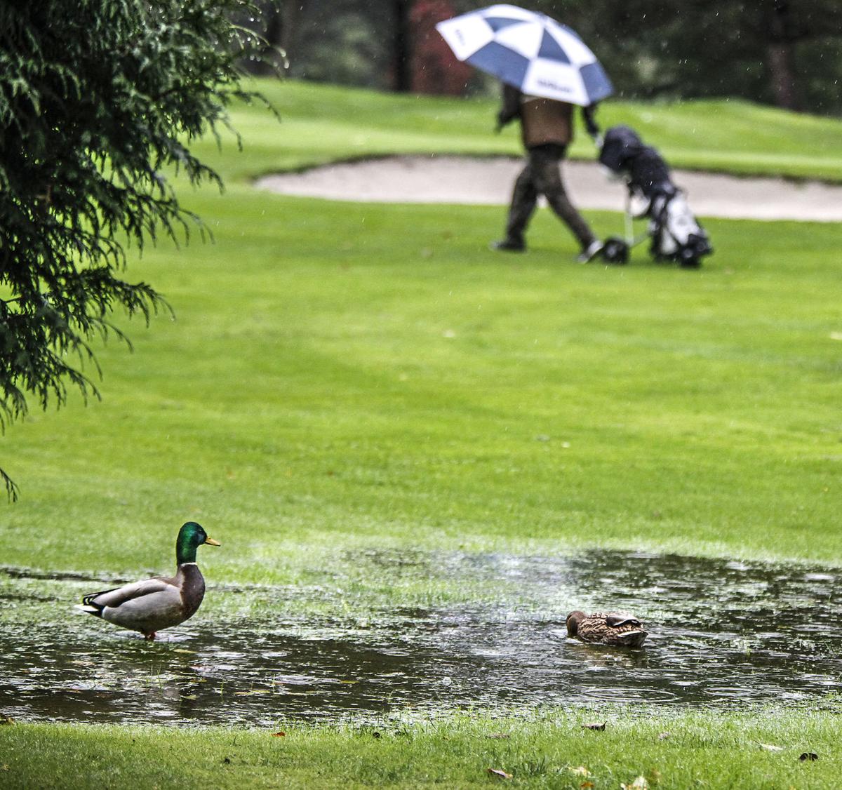 Council approves reduced season passes for Mint Valley Golf Course