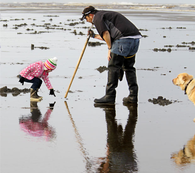 Eightday razor clam dig begins Sunday