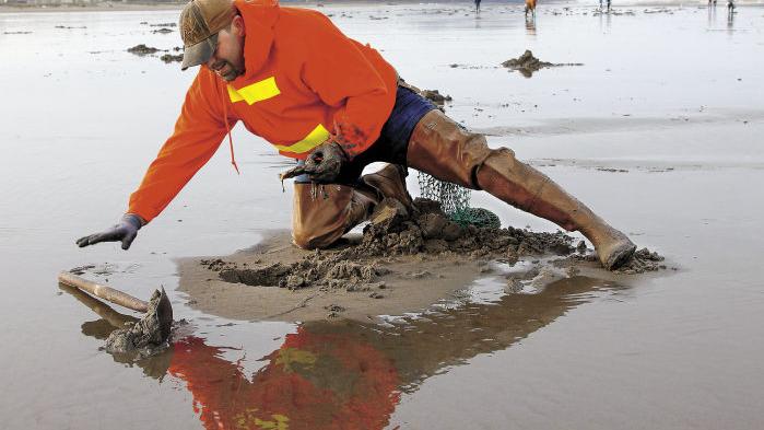 Razor Clam Festival Returning To Long Beach Lifestyles