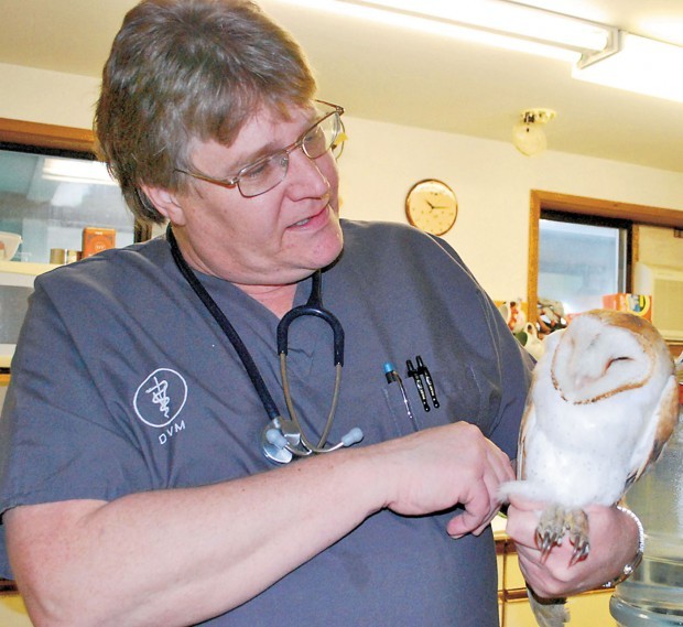 Center provides foster care for wild animals Lifestyles