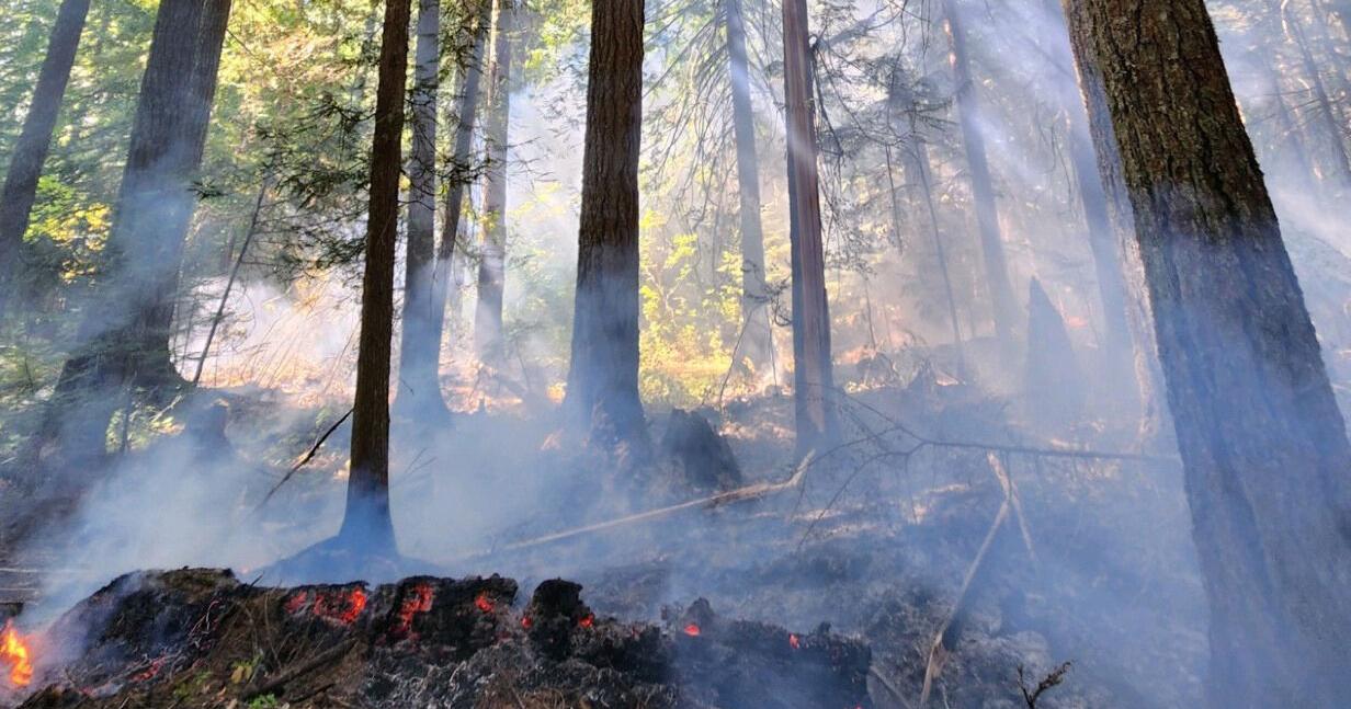 Cowlitz Complex fires grow over holiday weekend - Vimarsana News