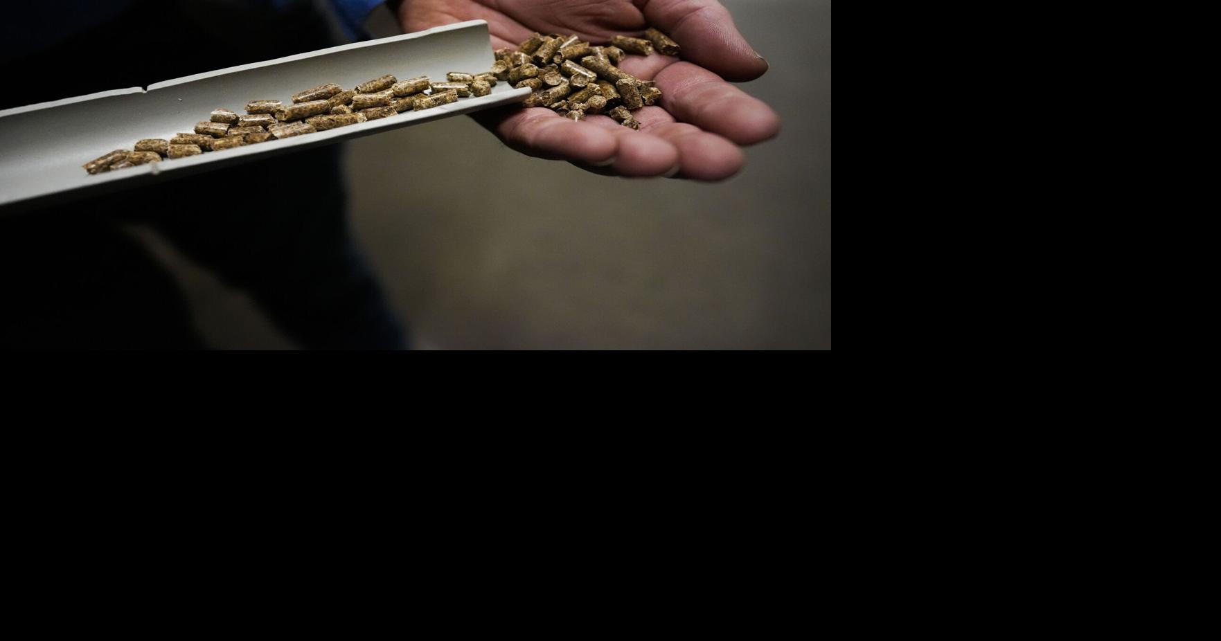 OPINION | Wood pellet plants pose a risk to our forests — and our health
