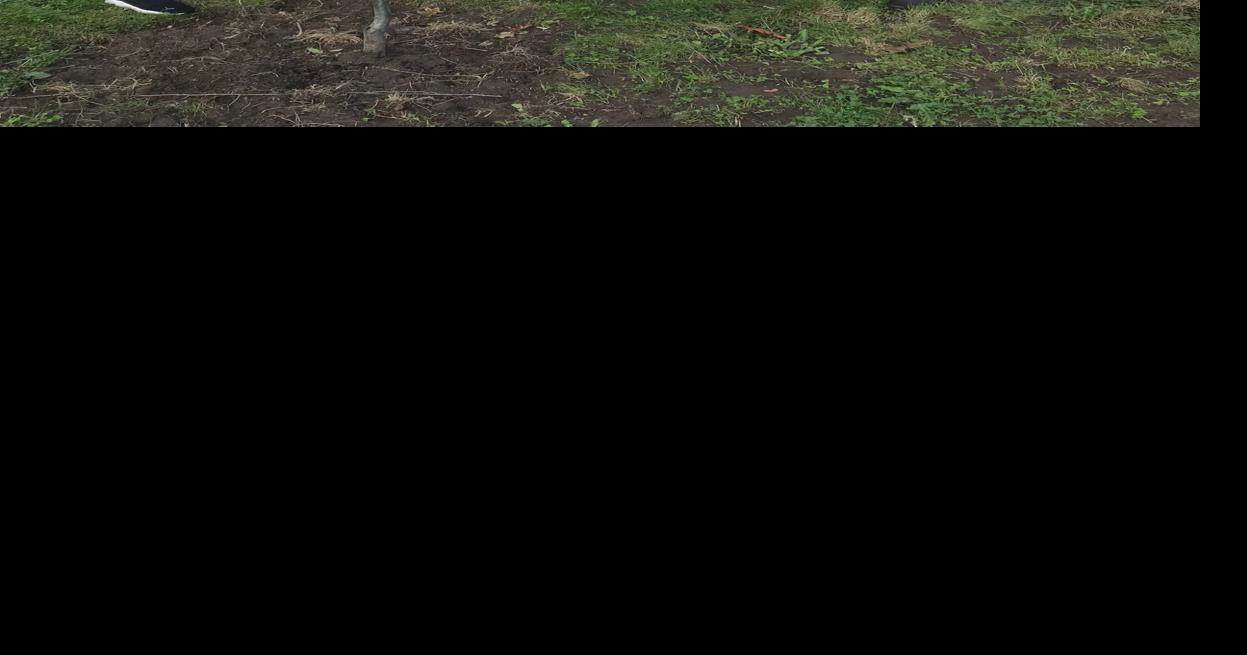 Kelso Garden Club donates tree to Riverside Park