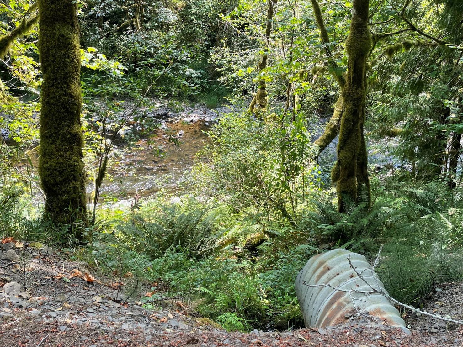 No flood gauge on the Coweeman River as rainy season approaches