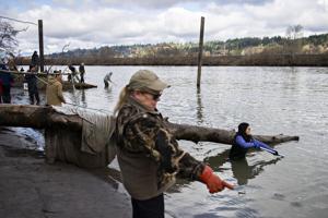 Dipnetters struggle Tuesday for smelt in Cowlitz River