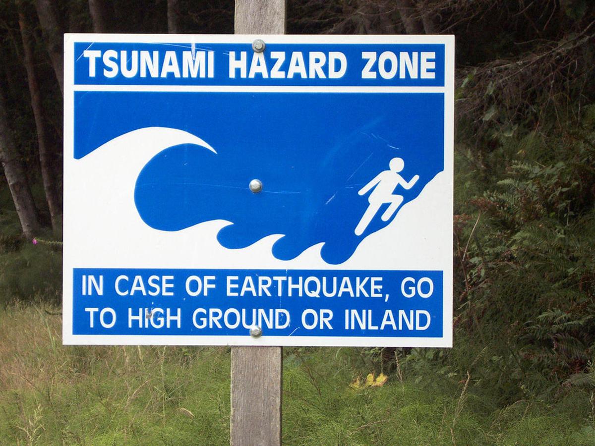 Osu Study Details Effects Of Major Tsunami On Lower Columbia Communities Tdn Com Osu Study Details Effects Of Major Tsunami On Lower Columbia Communities Tdn Com
