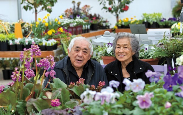 Flourishing Woodland Nursery Celebrates 30th Anniversary Local Tsugawa Nursery