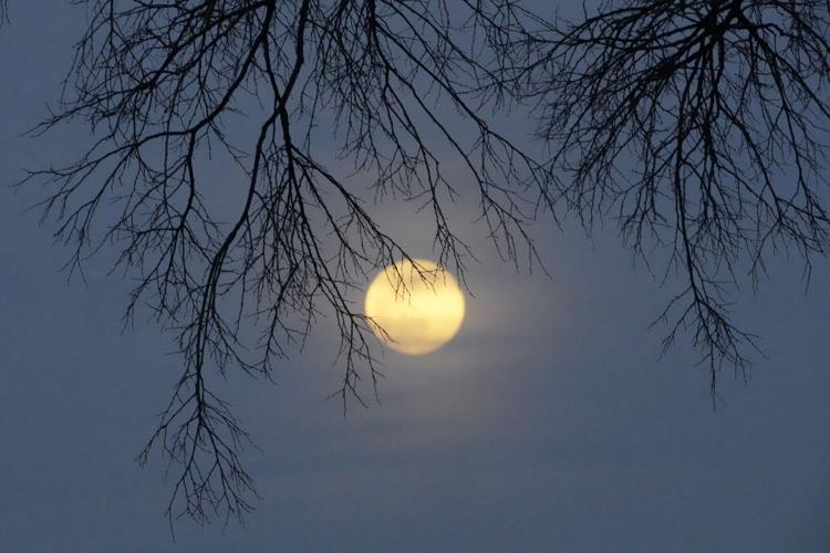 500 Best FULL MOON PICS ideas  beautiful moon, full moon, shoot the moon