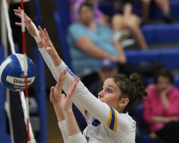Olivia Chilton Kelso Volleyball stock