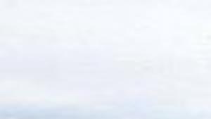 Alaska Fishing Boat Crew Catches Monster Halibut Lifestyles Tdn Com