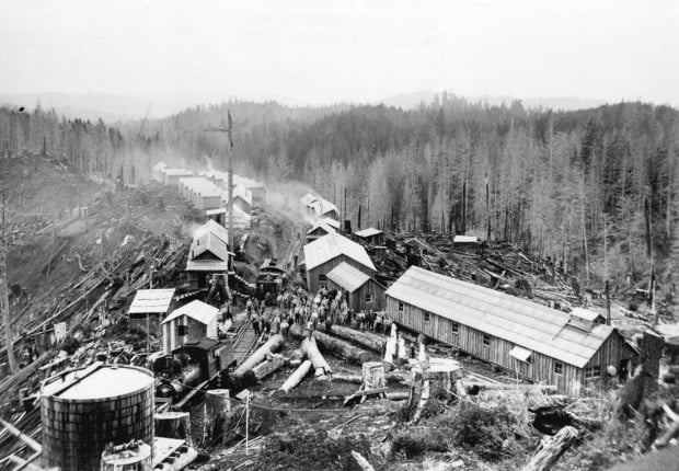 ‘When Logging Was Logging': Appelo Archives newest book captures ...