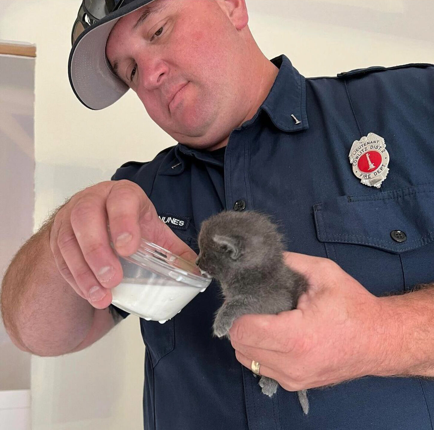 The cat's out the ... wall? Kelso construction workers, fire officials find kittens behind drywall