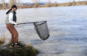 One-day smelt fishery set for Thursday on Cowlitz River