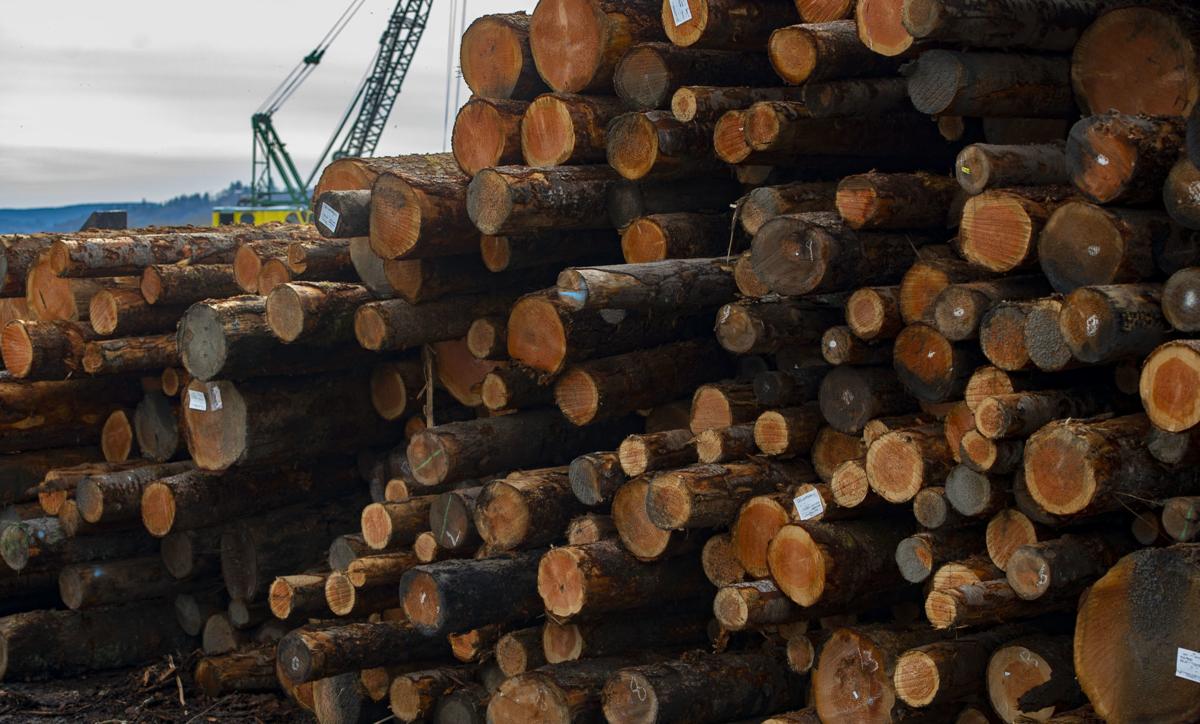 Do falling lumber prices hint at economic trouble ahead? Local