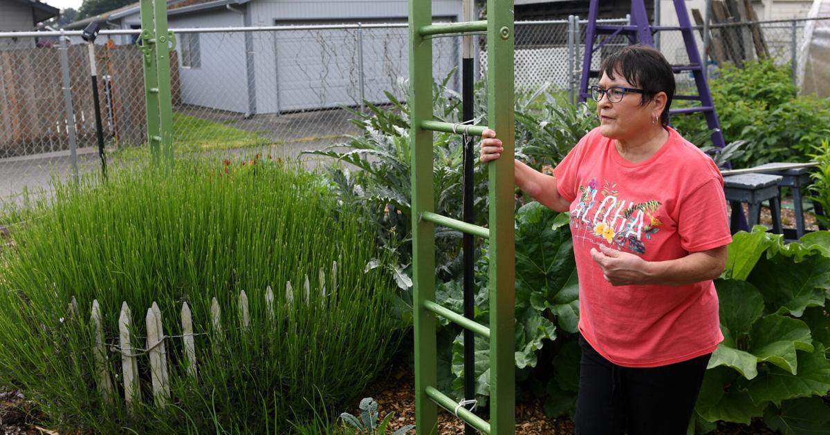 Cowlitz County community gardens address food insecurity, promote healthy eating | Health