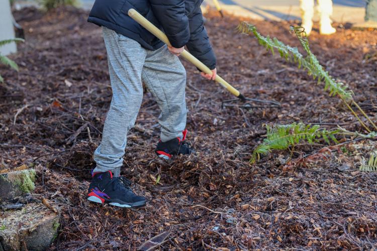 Cowlitz County juvenile offenders learn gardening teamwork