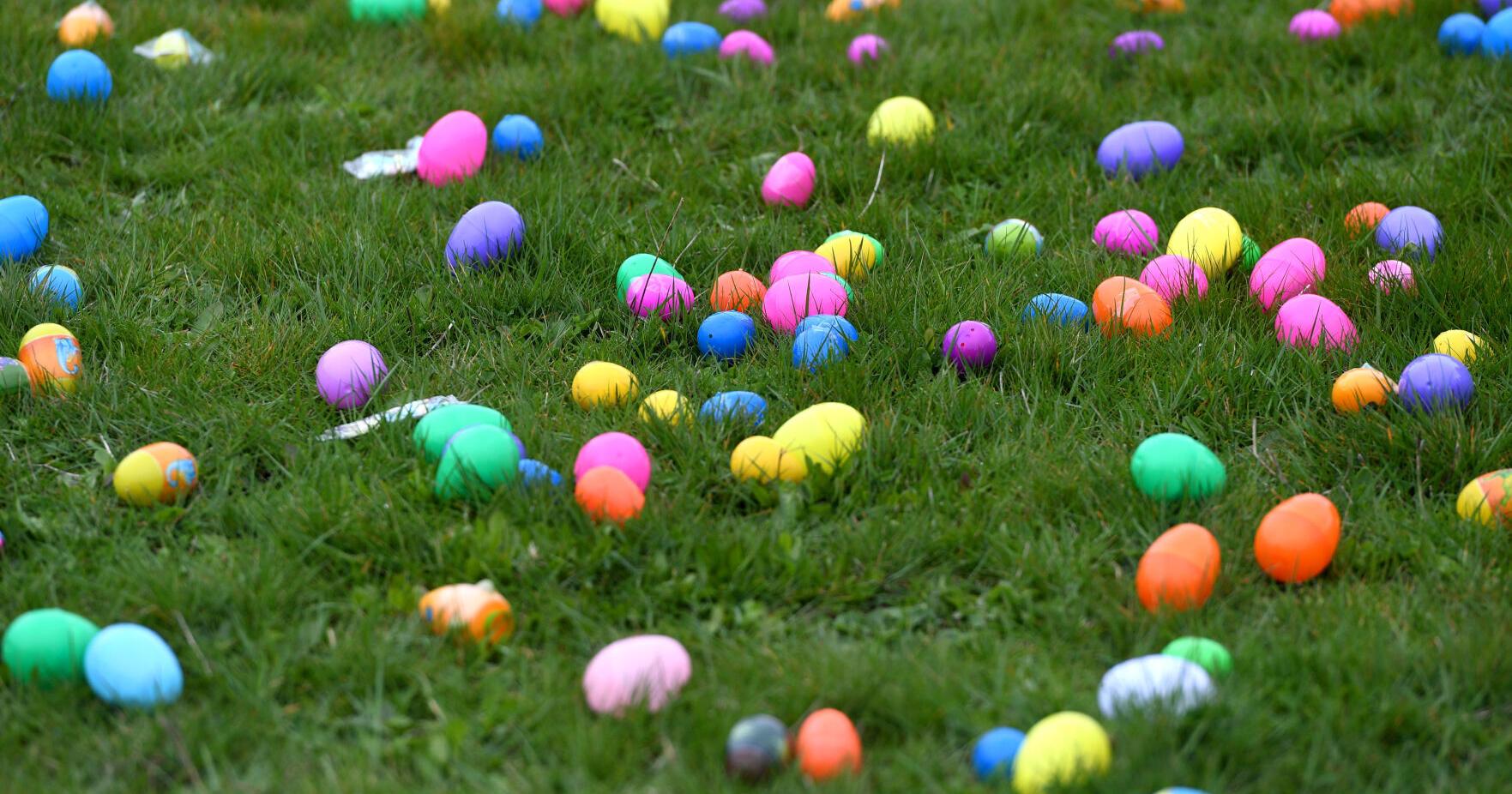 UPDATE: The hunt is on: Easter events set in Cowlitz County - Vimarsana News