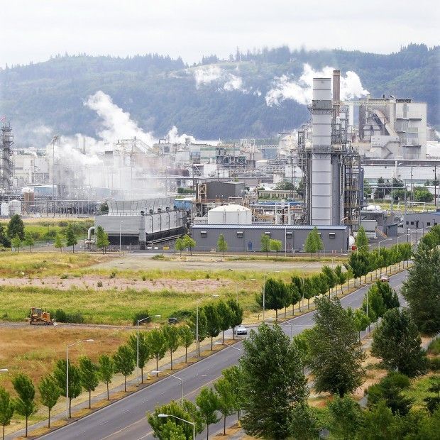 Mint Farm fertilizer plant could create 80 to 100 jobs Local