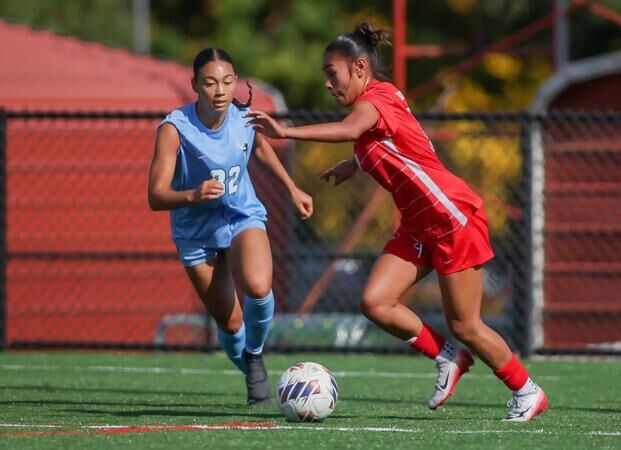Visiting Vikings Take Out Wolves, 2-0