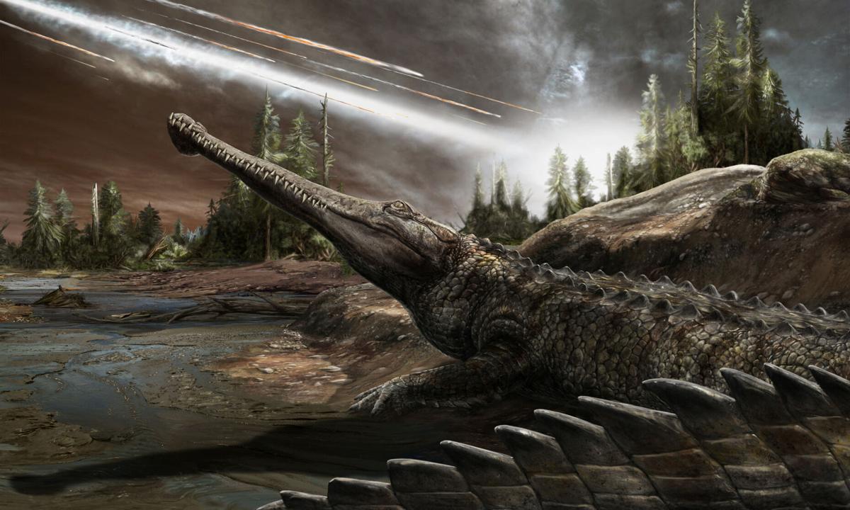 An affinity for warm climes has helped crocs thrive for eons