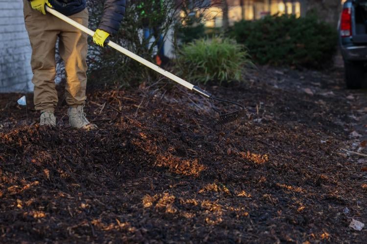 Cowlitz County juvenile offenders learn gardening teamwork