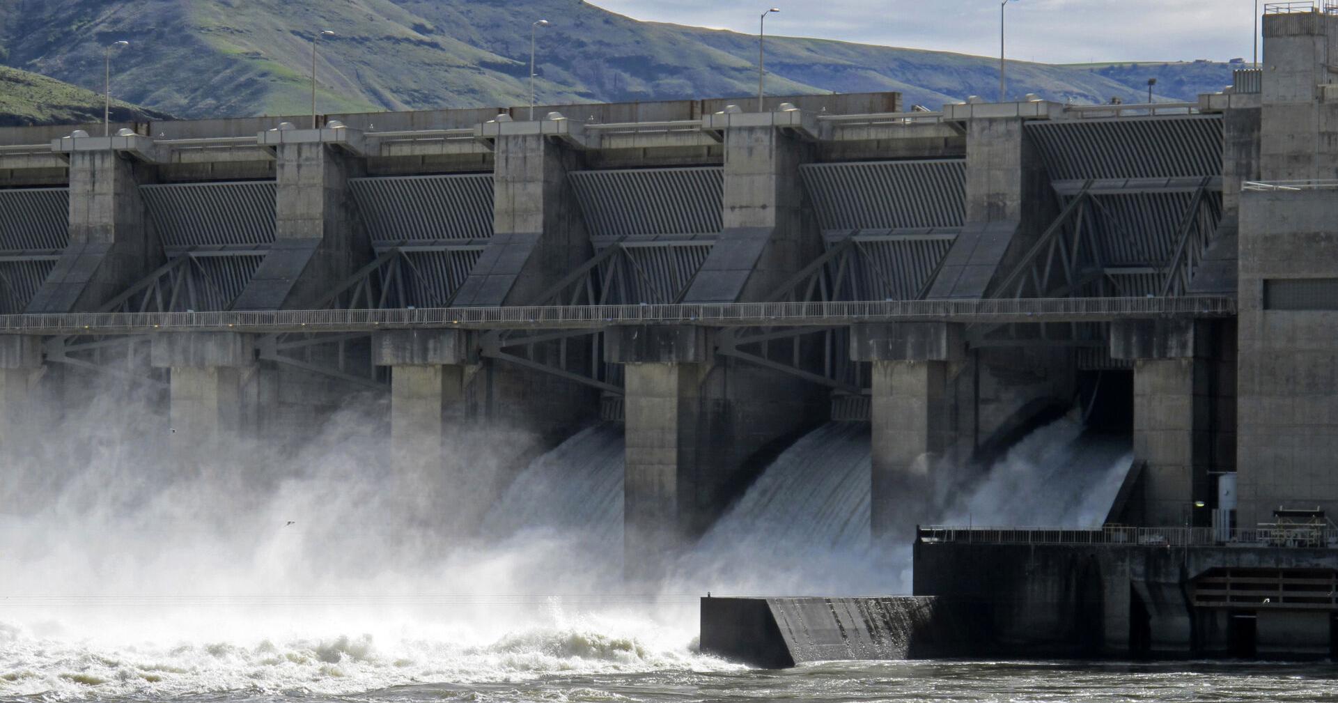 GOP reps ramp up fight on 'hypocritical assault' on Snake River dams in Eastern WA - Vimarsana News