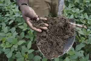 Around the Yard: Why it's still too early to till your soil