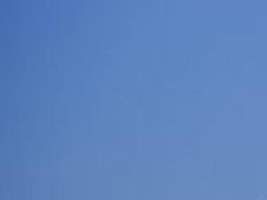 Grain Terminal Ilwu Finish Smooth Labor Talks Local Tdn Com