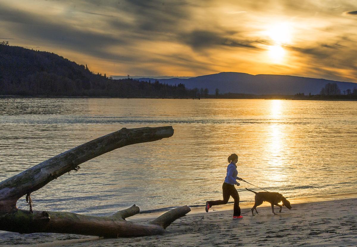 Port considers new trail for Willow Grove Park Local