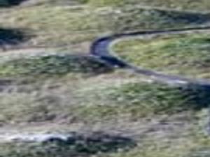 Three Dozen Theories For Creation Of Mima Mounds News Tdn Com Butterflies require two main things that the prairie can supply. mima mounds