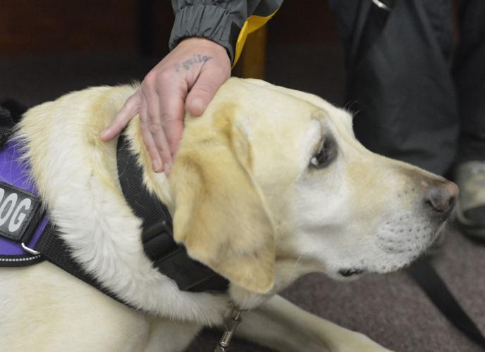Chili the therapy dog brings comfort to Juvenile Court