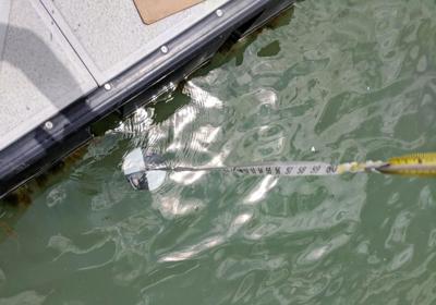 WATeR samples locations on Tellico Lake
