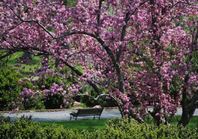 Loudon County Health Department Announces "Step Into Spring" Family Fun Fair