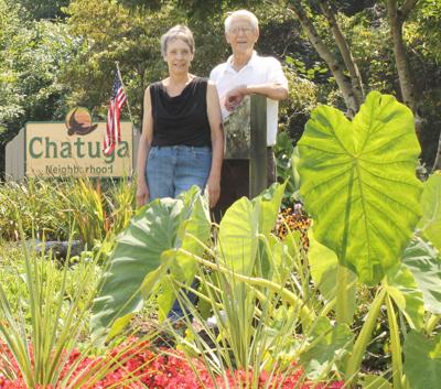 Garden Club charged with Village beauty