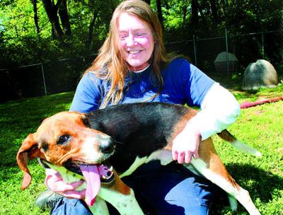 Nichols takes over at animal shelter