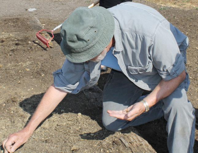 Garden club works to save monarchs