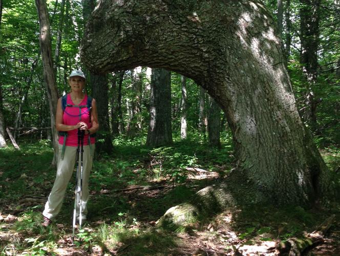 Villager completes lengthy hiking feat