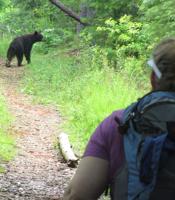 No bear-er place to be